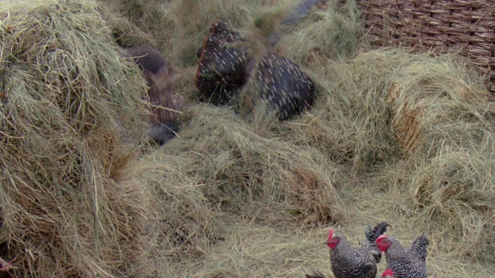 Robin Hood: Prince of Thieves (1991), unknown, 1.78:1 — film still