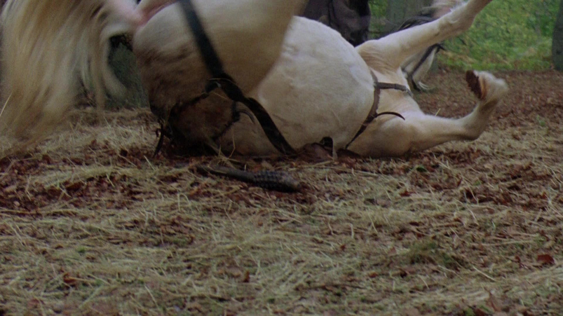 Robin Hood: Prince of Thieves (1991), wide, 1.78:1 — film still