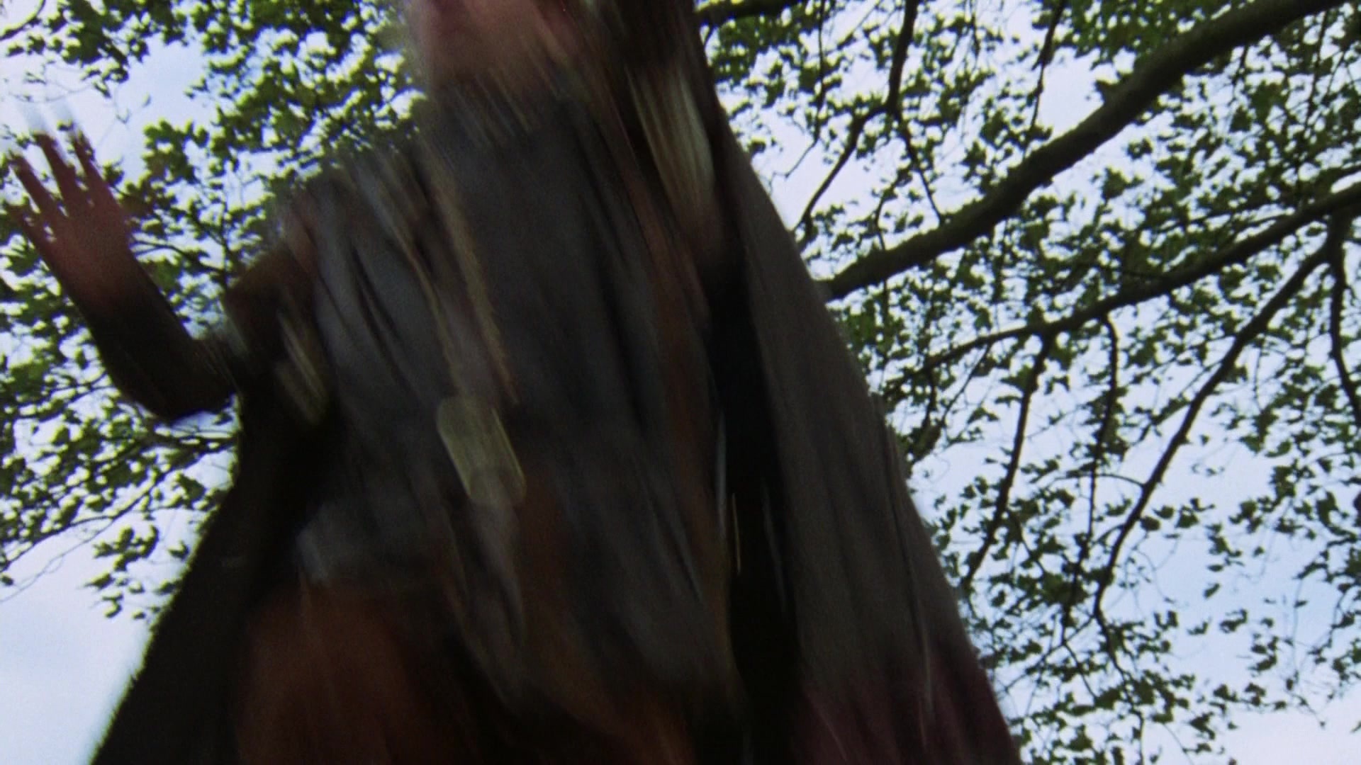 Robin Hood: Prince of Thieves (1991), wide, 1.78:1 — film still