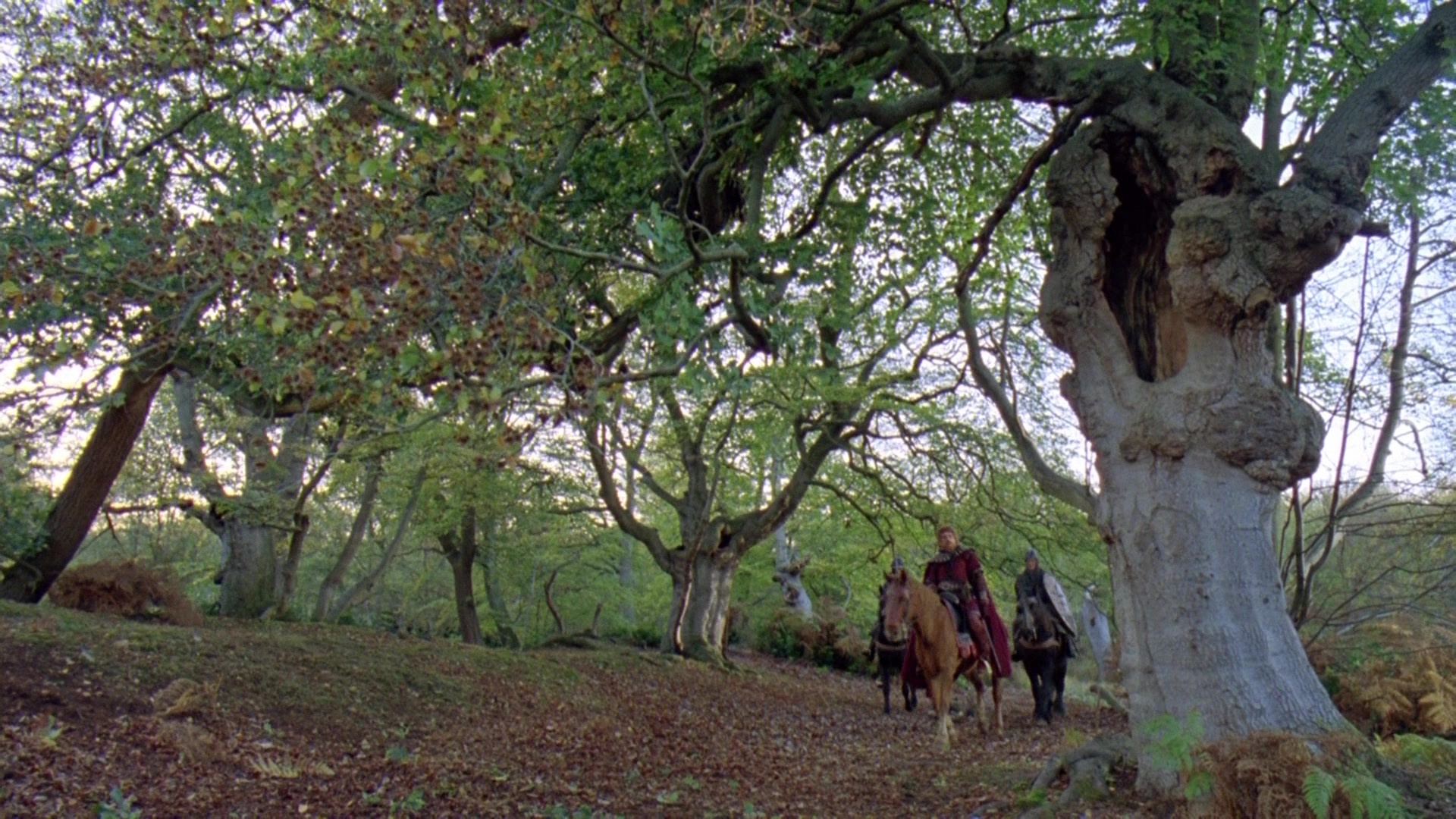 Robin Hood: Prince of Thieves (1991), wide, 1.78:1 — film still