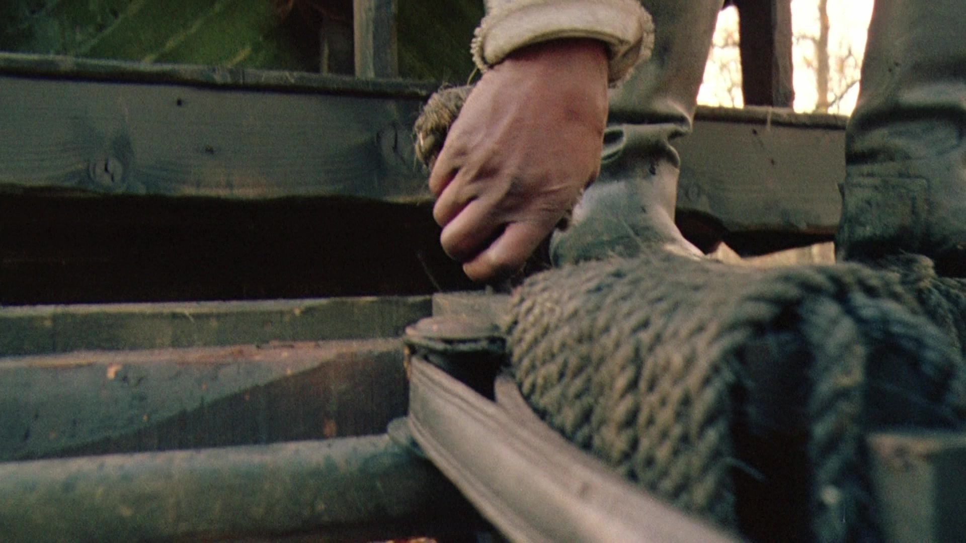 Robin Hood: Prince of Thieves (1991), wide, 1.78:1 — film still