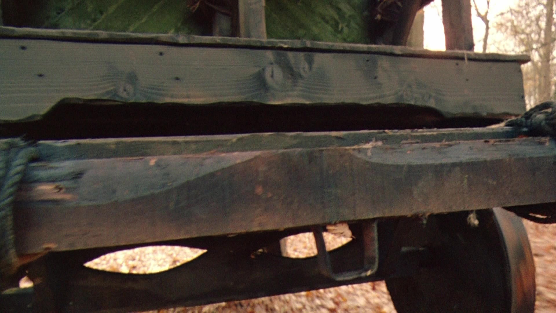 Robin Hood: Prince of Thieves (1991), wide, 1.78:1 — film still