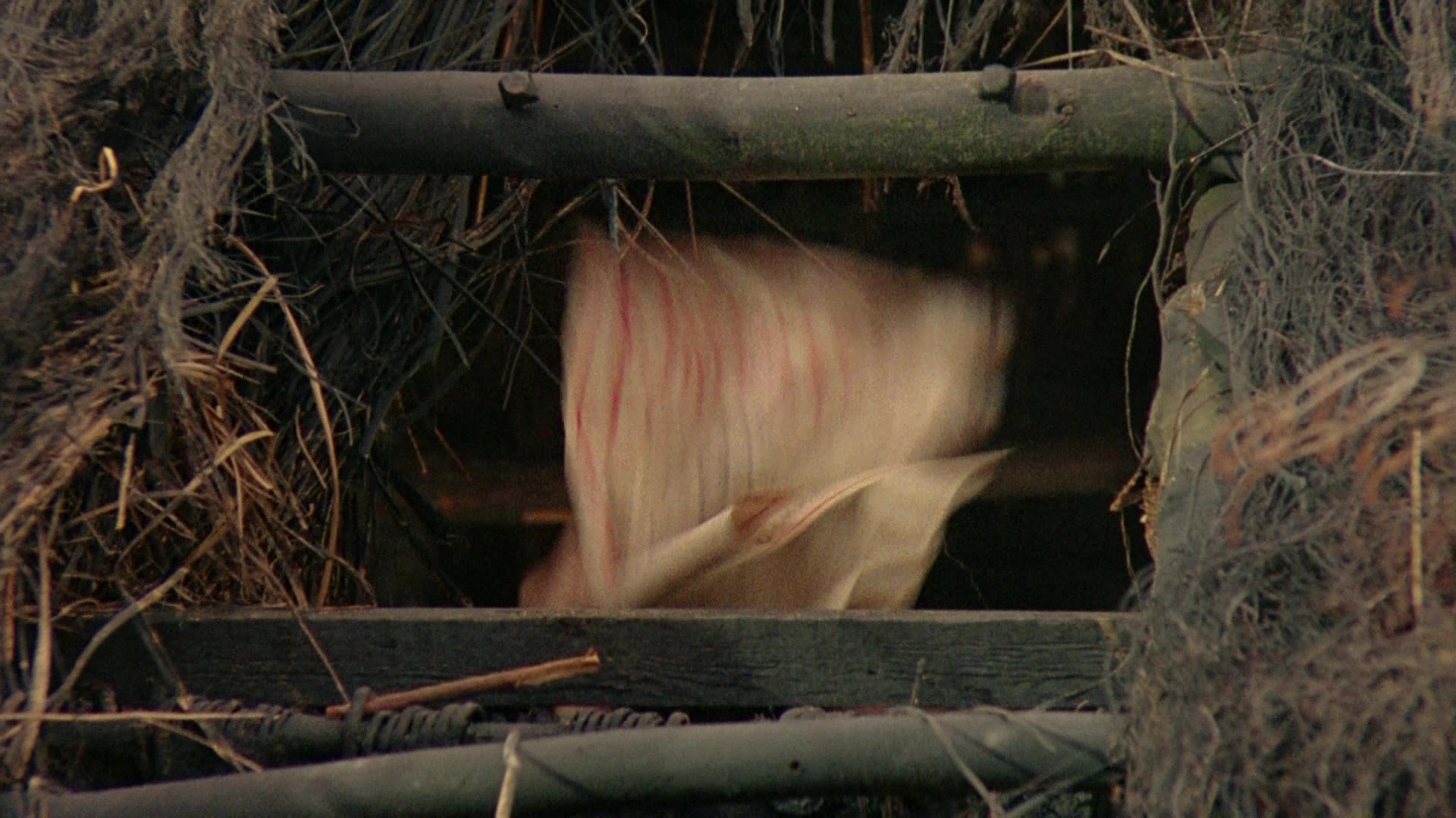 Robin Hood: Prince of Thieves (1991), unknown, 1.78:1 — film still