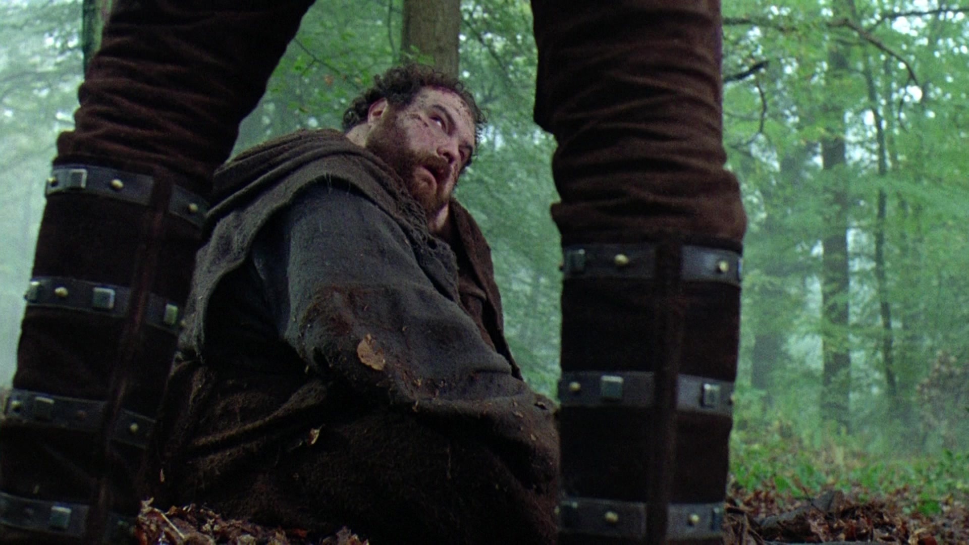 Robin Hood: Prince of Thieves (1991), wide, 1.78:1 — film still
