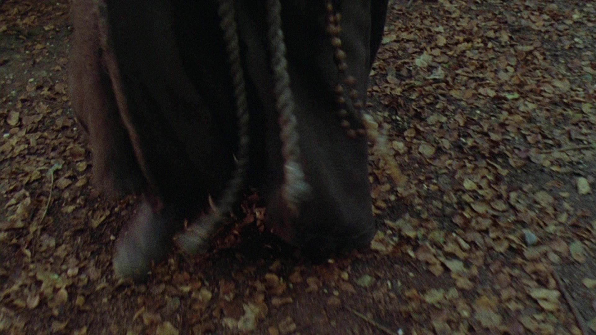 Robin Hood: Prince of Thieves (1991), wide, 1.78:1 — film still