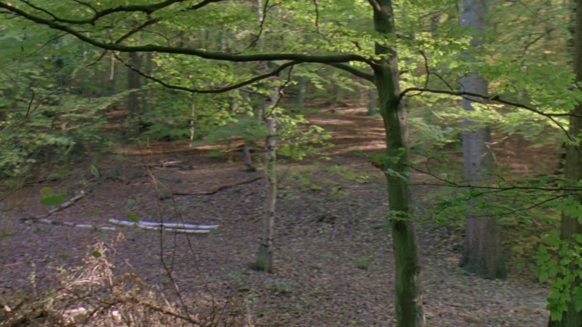 Robin Hood: Prince of Thieves (1991), unknown, 1.78:1 — film still