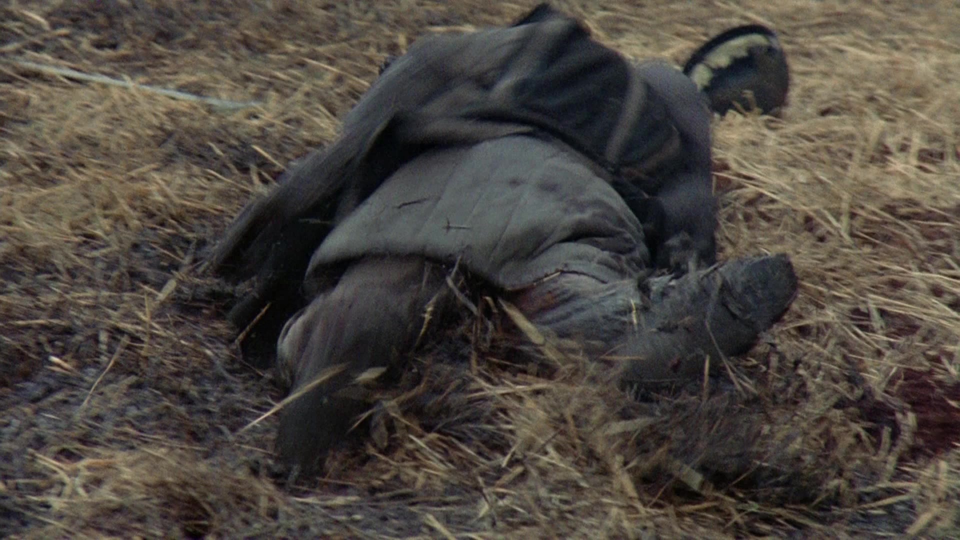 Robin Hood: Prince of Thieves (1991), unknown, 1.78:1 — film still