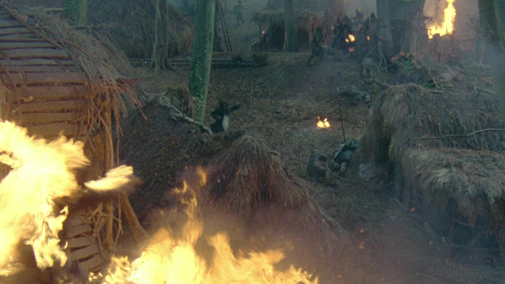Robin Hood: Prince of Thieves (1991), wide, 1.78:1 — film still