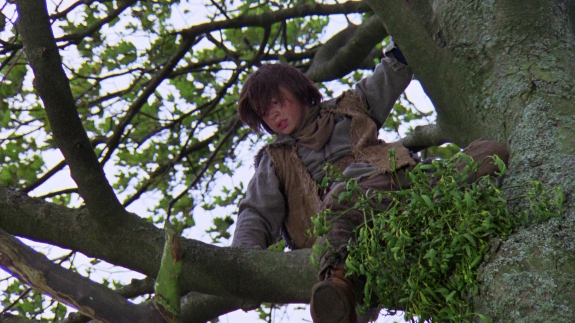 Robin Hood: Prince of Thieves (1991), wide, 1.78:1 — film still