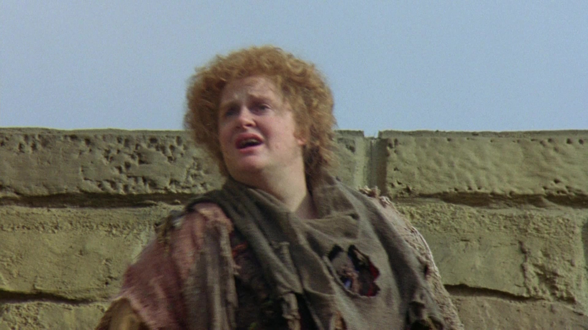 Robin Hood: Prince of Thieves (1991), wide, 1.78:1 — film still