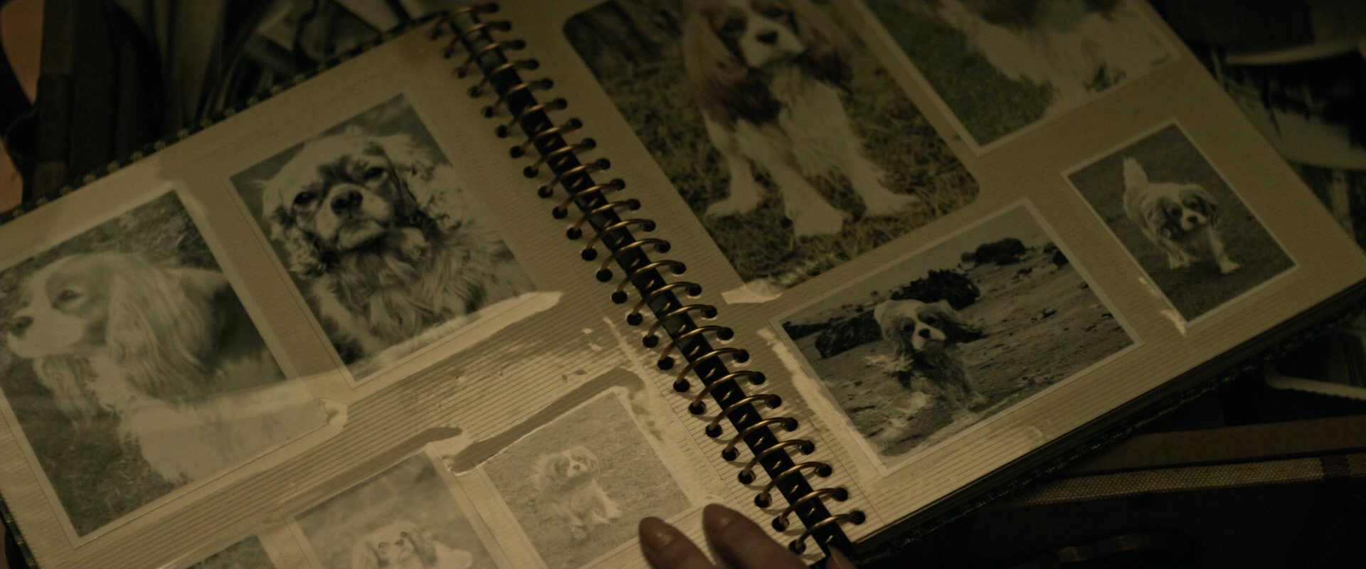 The Age of Adaline (2015), wide, 2.40:1 — film still
