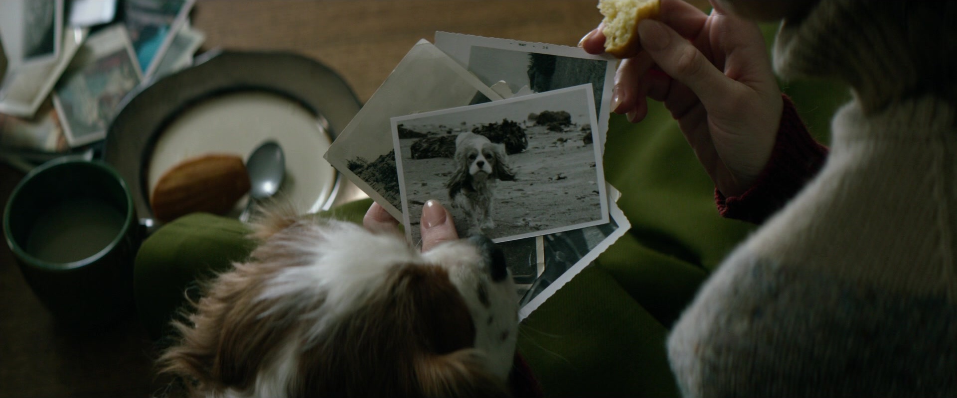 The Age of Adaline (2015), unknown, 2.40:1 — film still