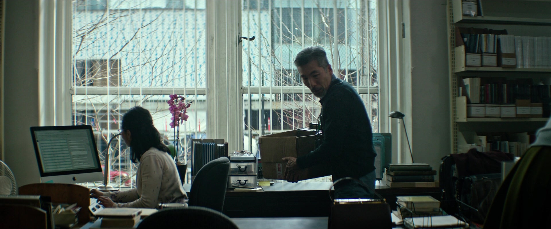 The Age of Adaline (2015), wide, 2.40:1 — film still