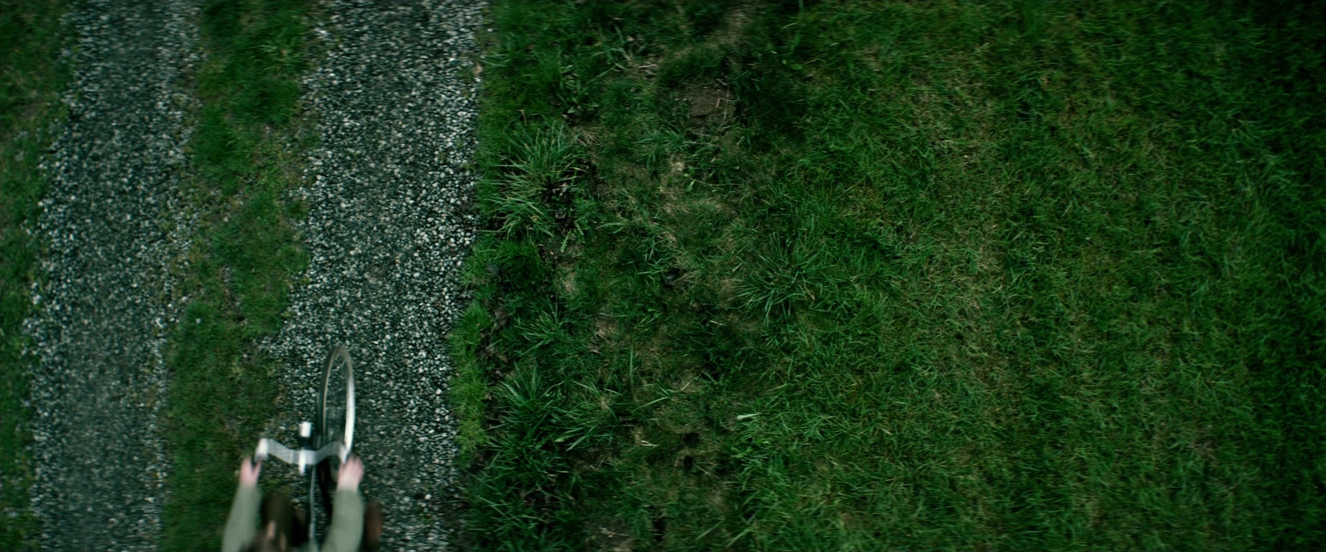 The Age of Adaline (2015), wide, 2.40:1 — film still