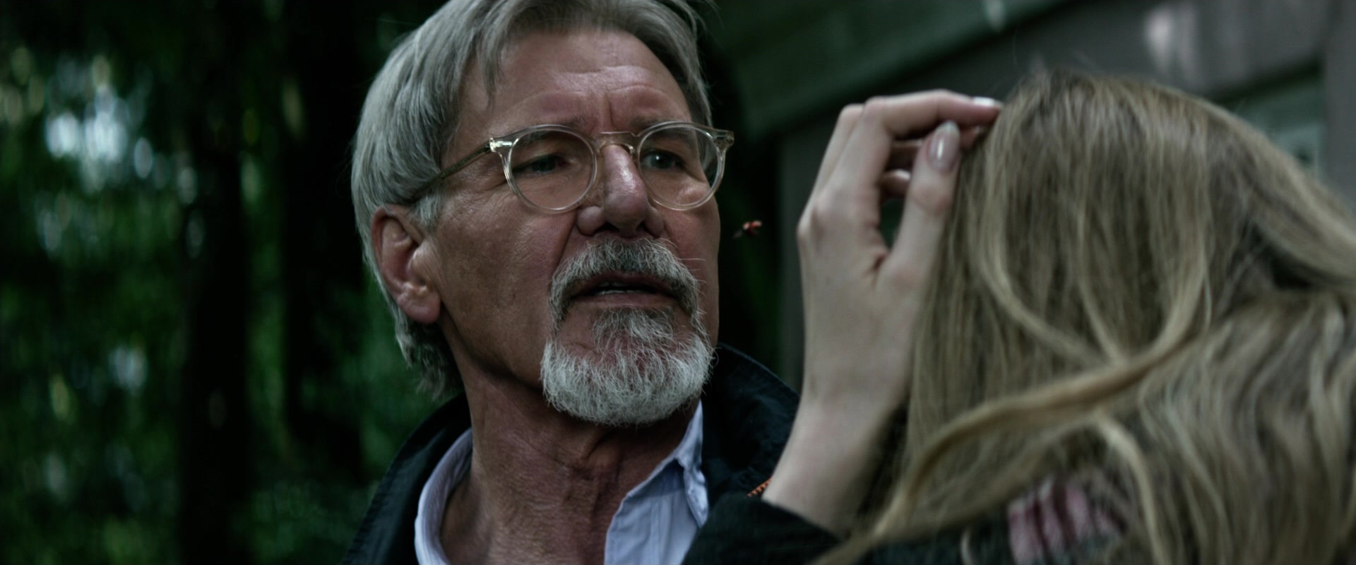 The Age of Adaline (2015), medium, 2.40:1 — film still
