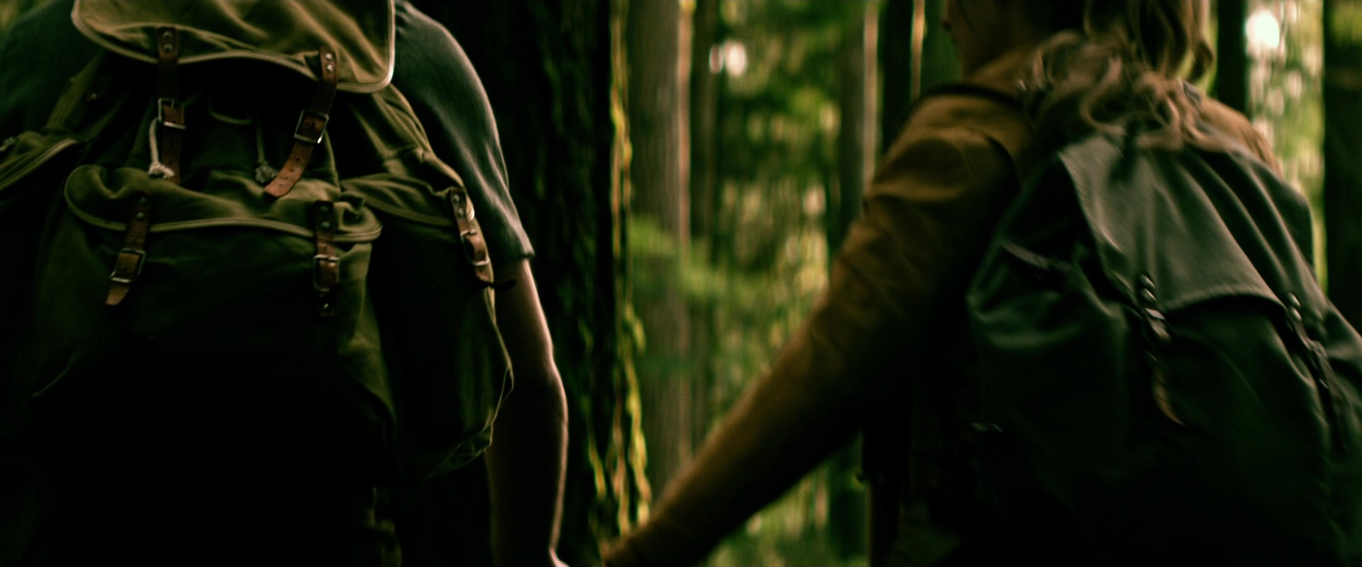 The Age of Adaline (2015), unknown, 2.40:1 — film still