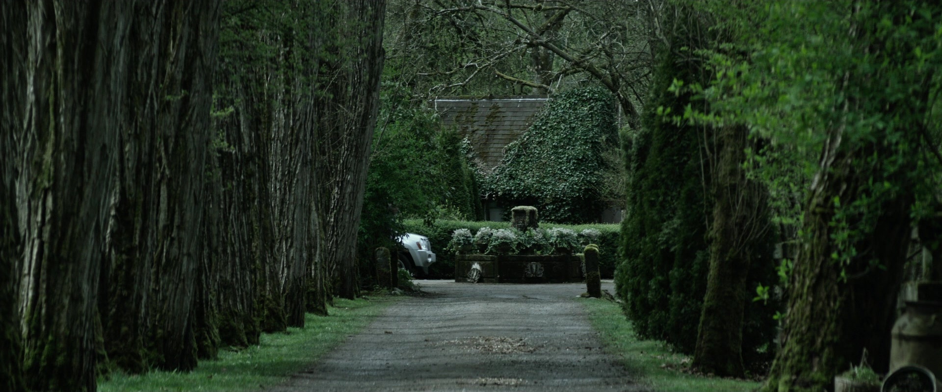 The Age of Adaline (2015), wide, 2.40:1 — film still