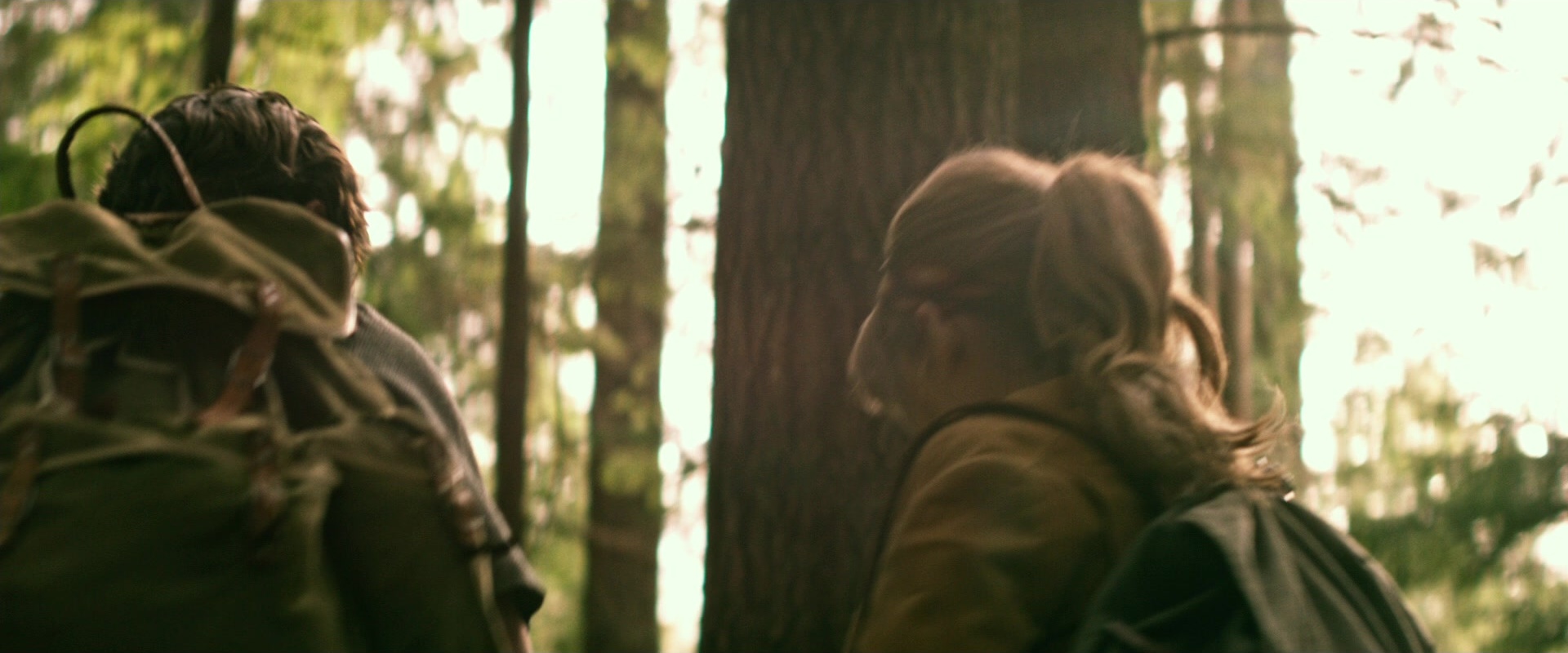 The Age of Adaline (2015), wide, 2.40:1 — film still