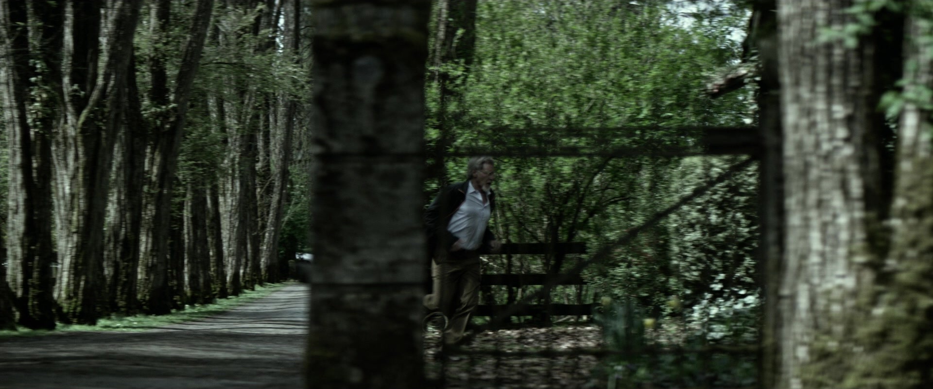 The Age of Adaline (2015), wide, 2.40:1 — film still