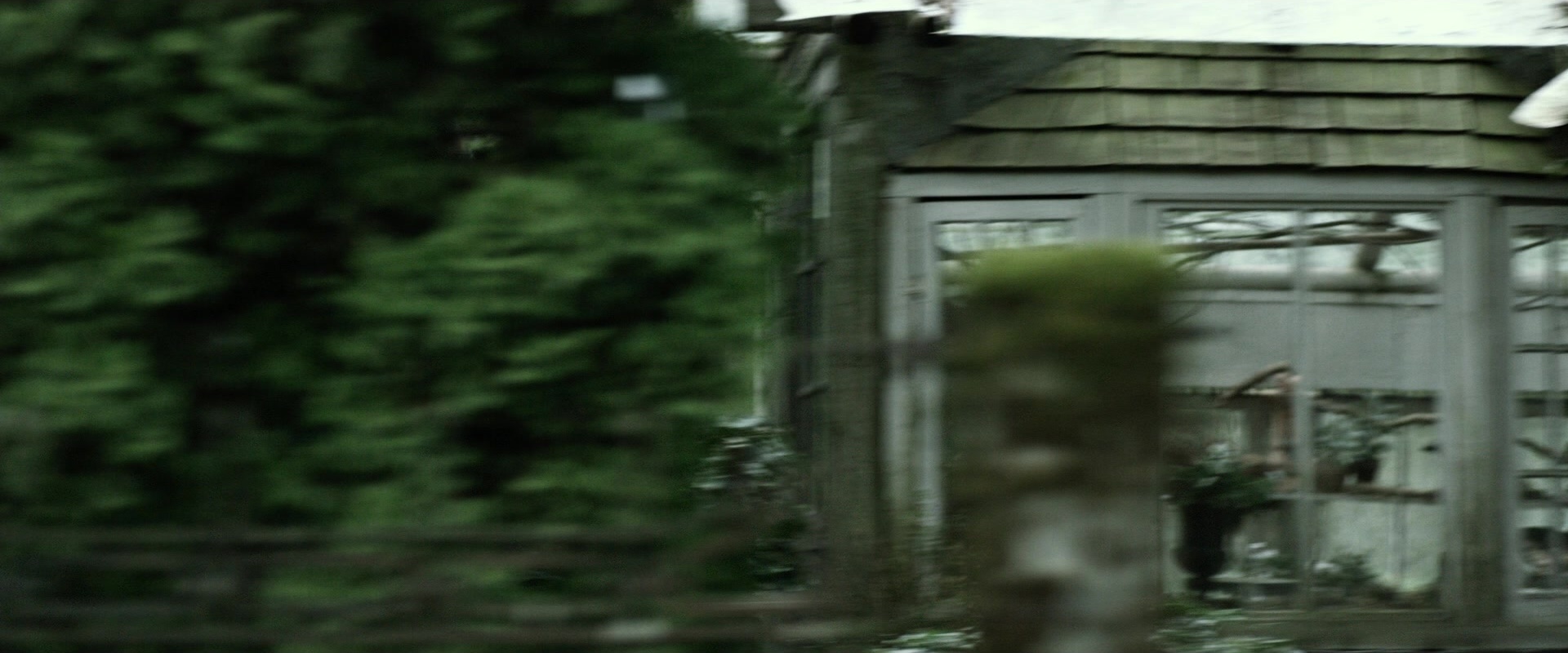 The Age of Adaline (2015), wide, 2.40:1 — film still