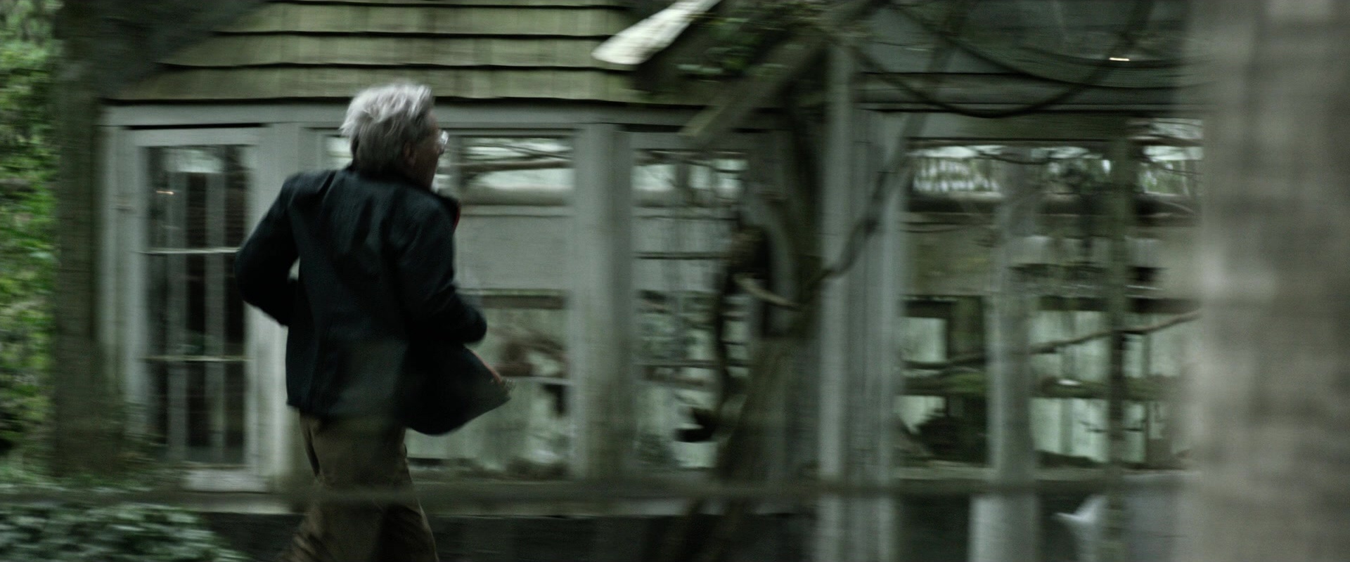 The Age of Adaline (2015), wide, 2.40:1 — film still