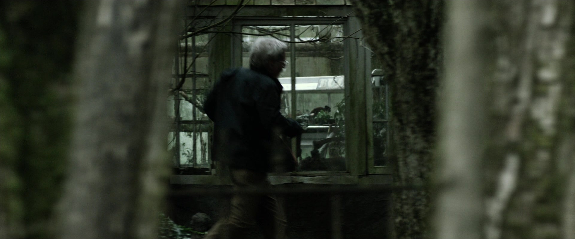 The Age of Adaline (2015), wide, 2.40:1 — film still