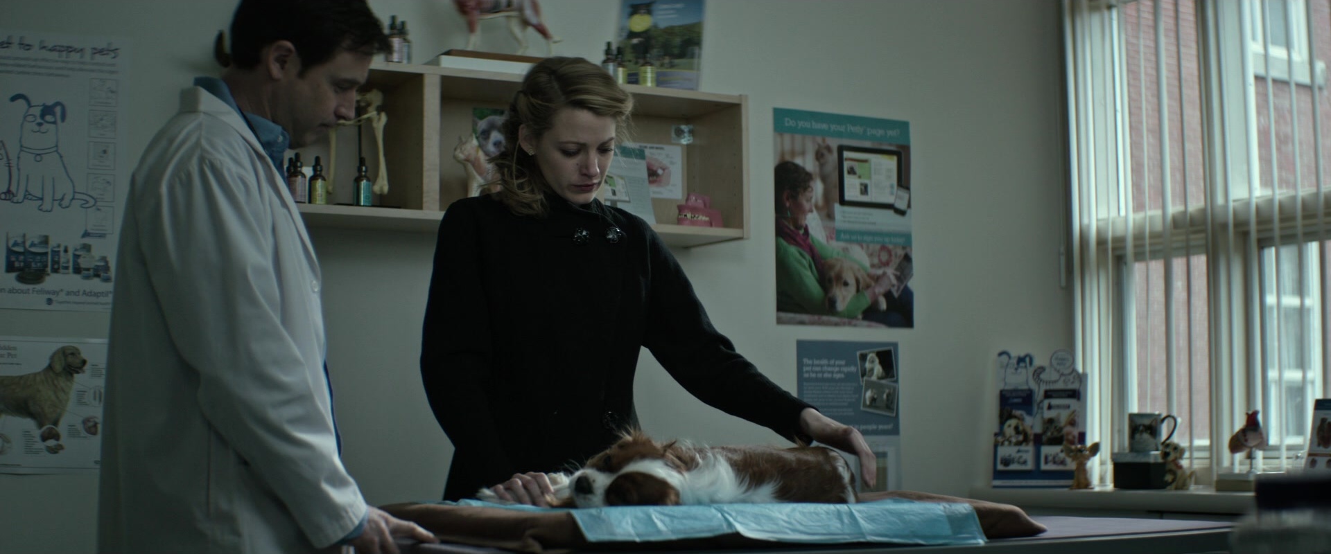 The Age of Adaline (2015), wide, 2.40:1 — film still