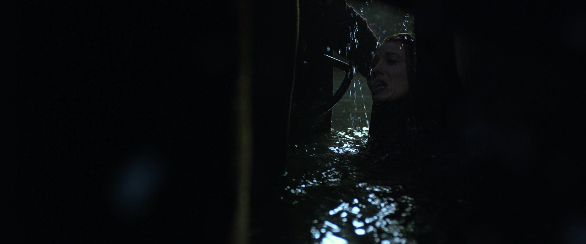 The Age of Adaline (2015), wide, 2.40:1 — film still