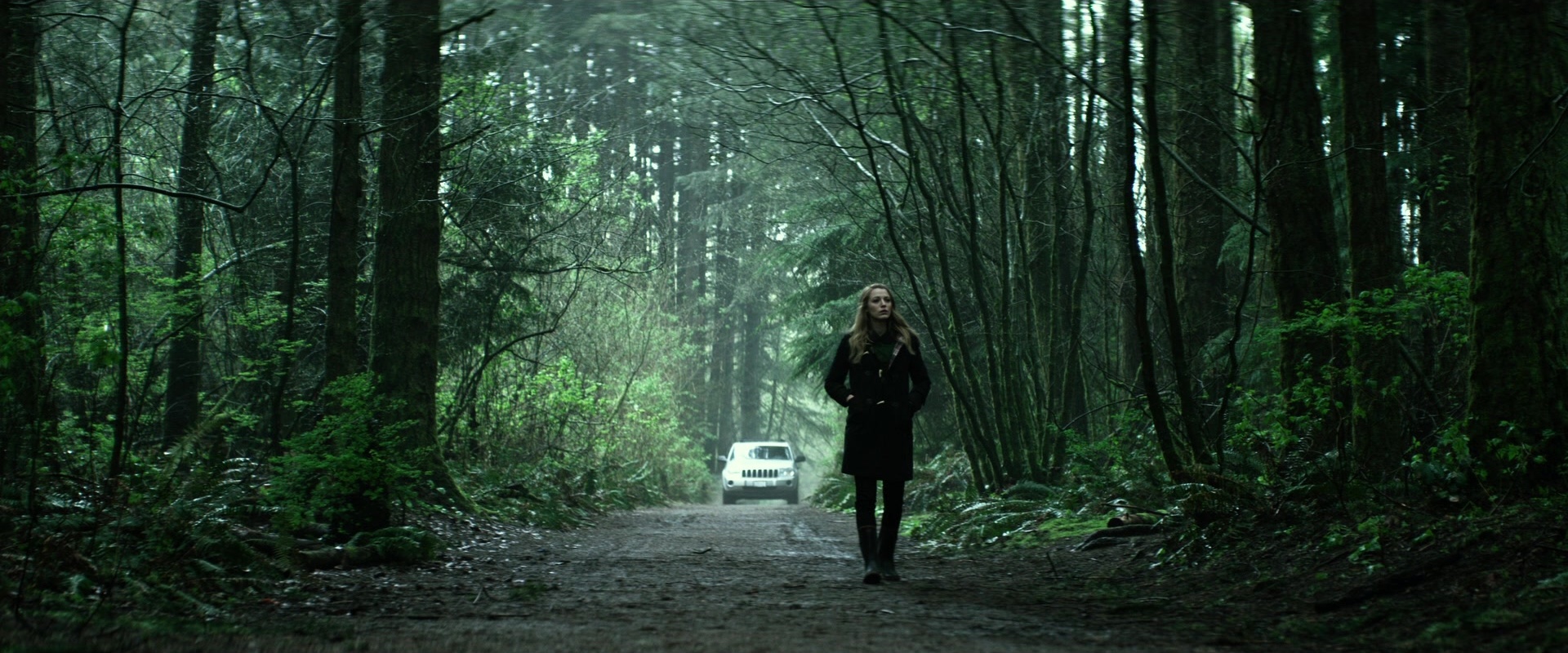 The Age of Adaline (2015), wide, 2.40:1 — film still