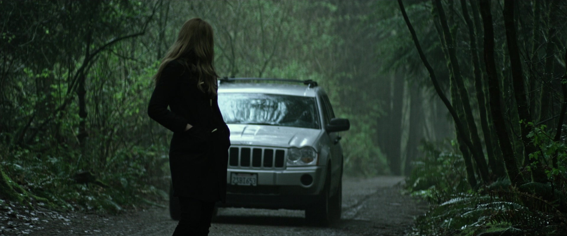 The Age of Adaline (2015), wide, 2.40:1 — film still