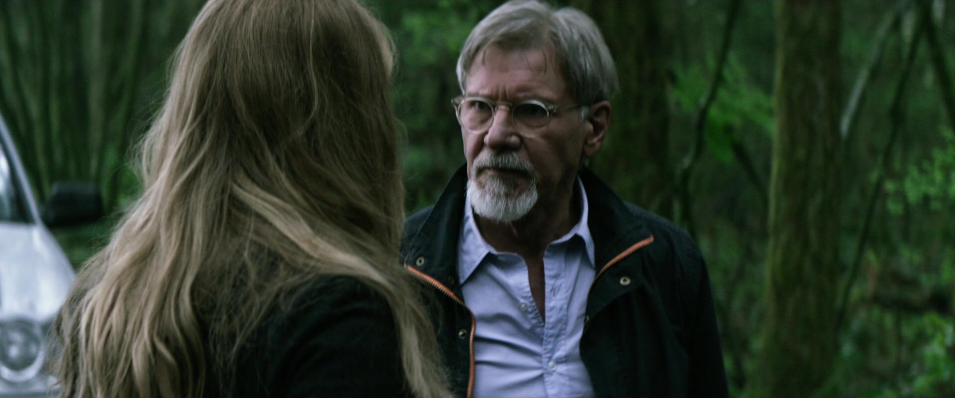 The Age of Adaline (2015), wide, 2.40:1 — film still
