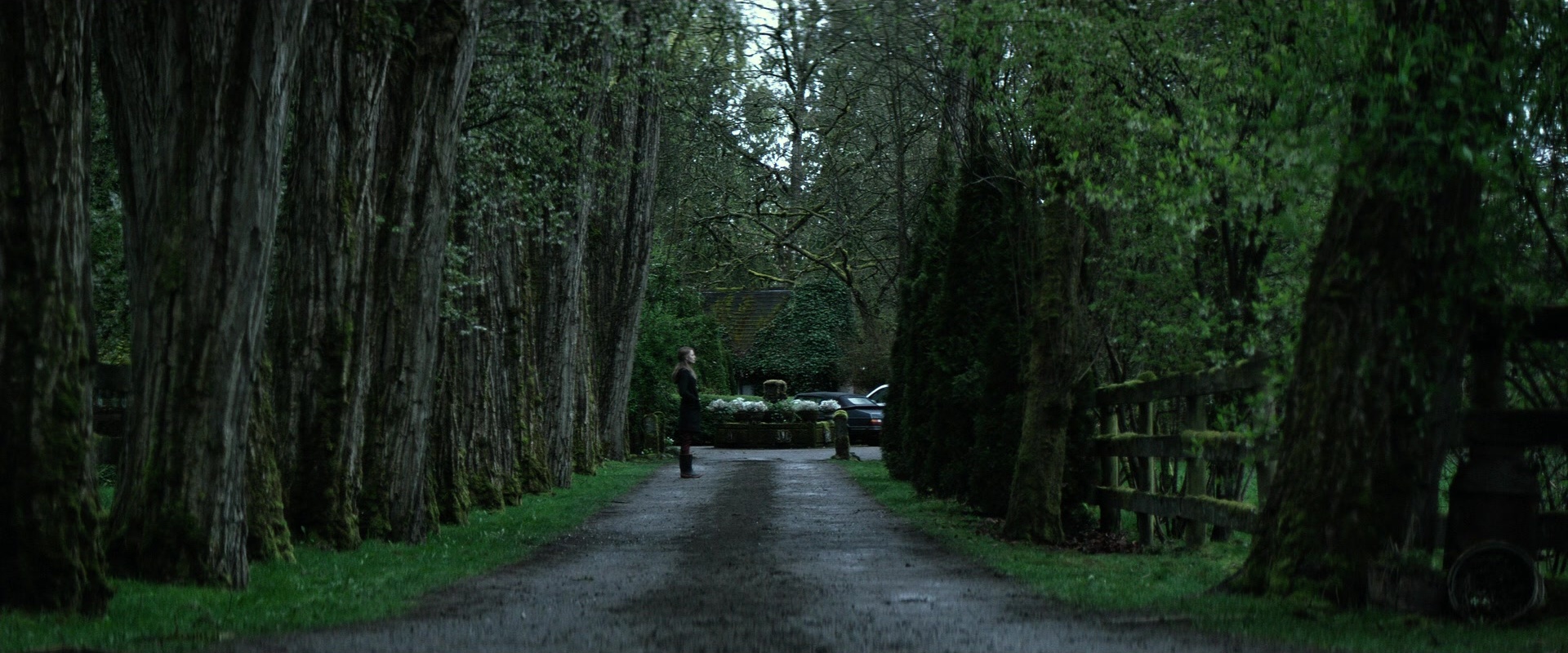 The Age of Adaline (2015), wide, 2.40:1 — film still