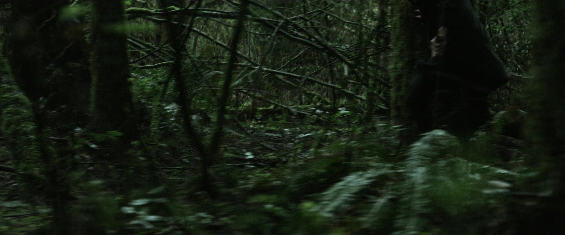 The Age of Adaline (2015), wide, 2.40:1 — film still