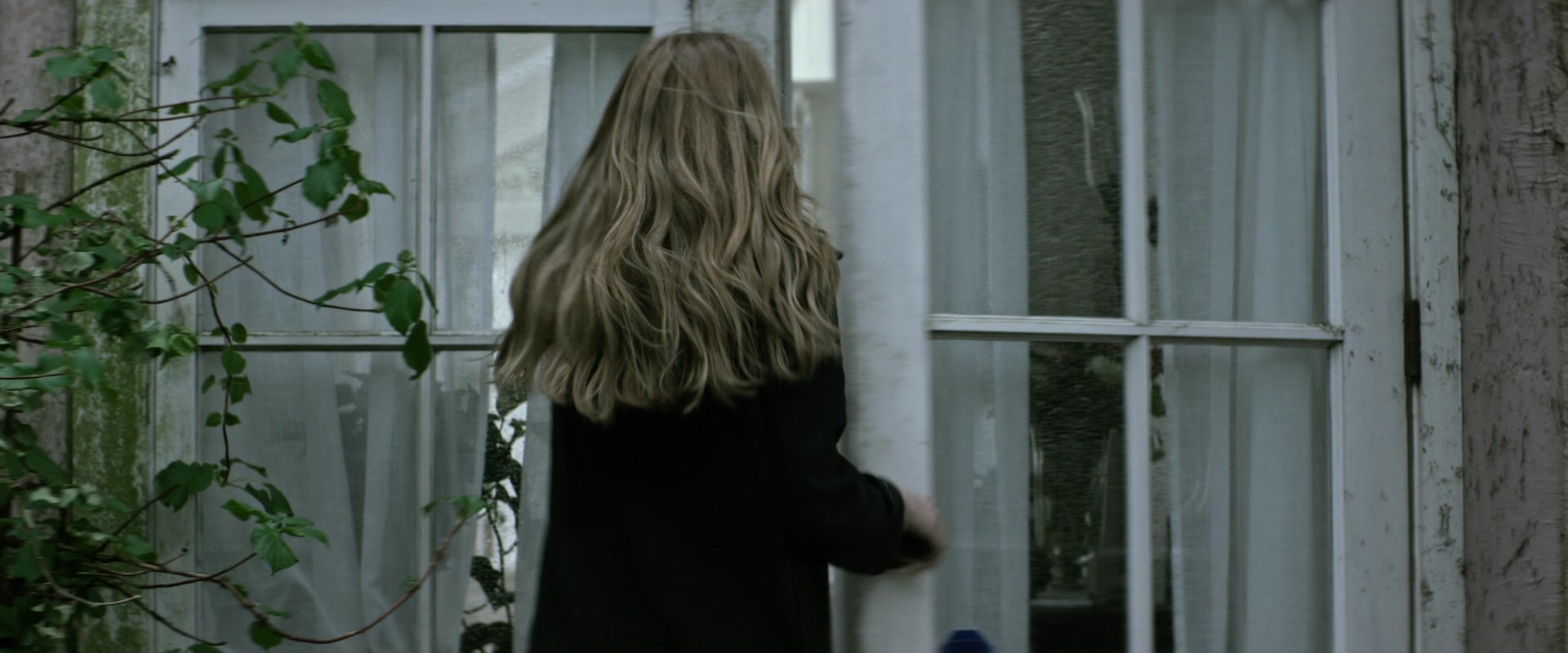 The Age of Adaline (2015), wide, 2.40:1 — film still