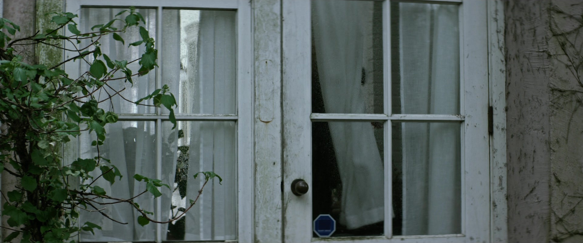The Age of Adaline (2015), wide, 2.40:1 — film still