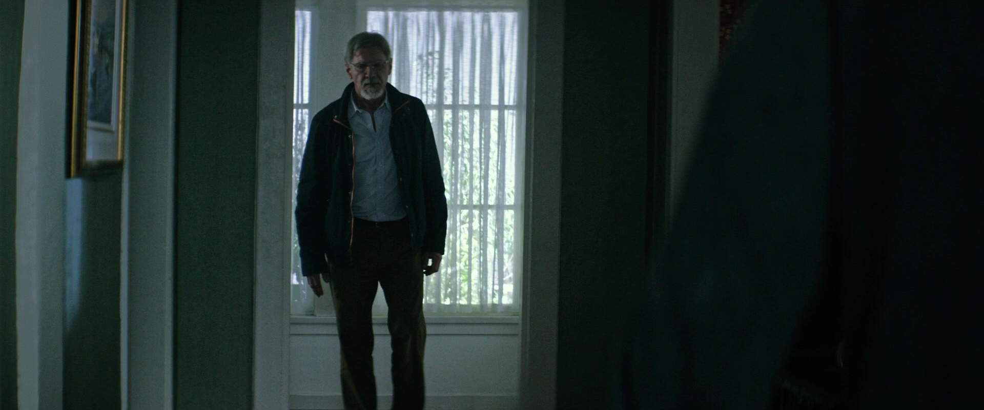 The Age of Adaline (2015), wide, 2.40:1 — film still