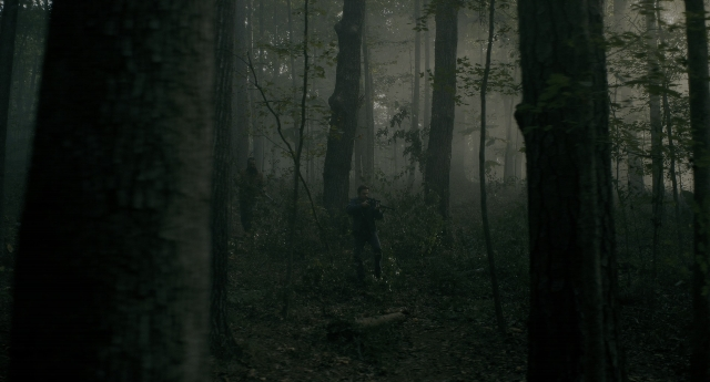 seria-265473.jpg