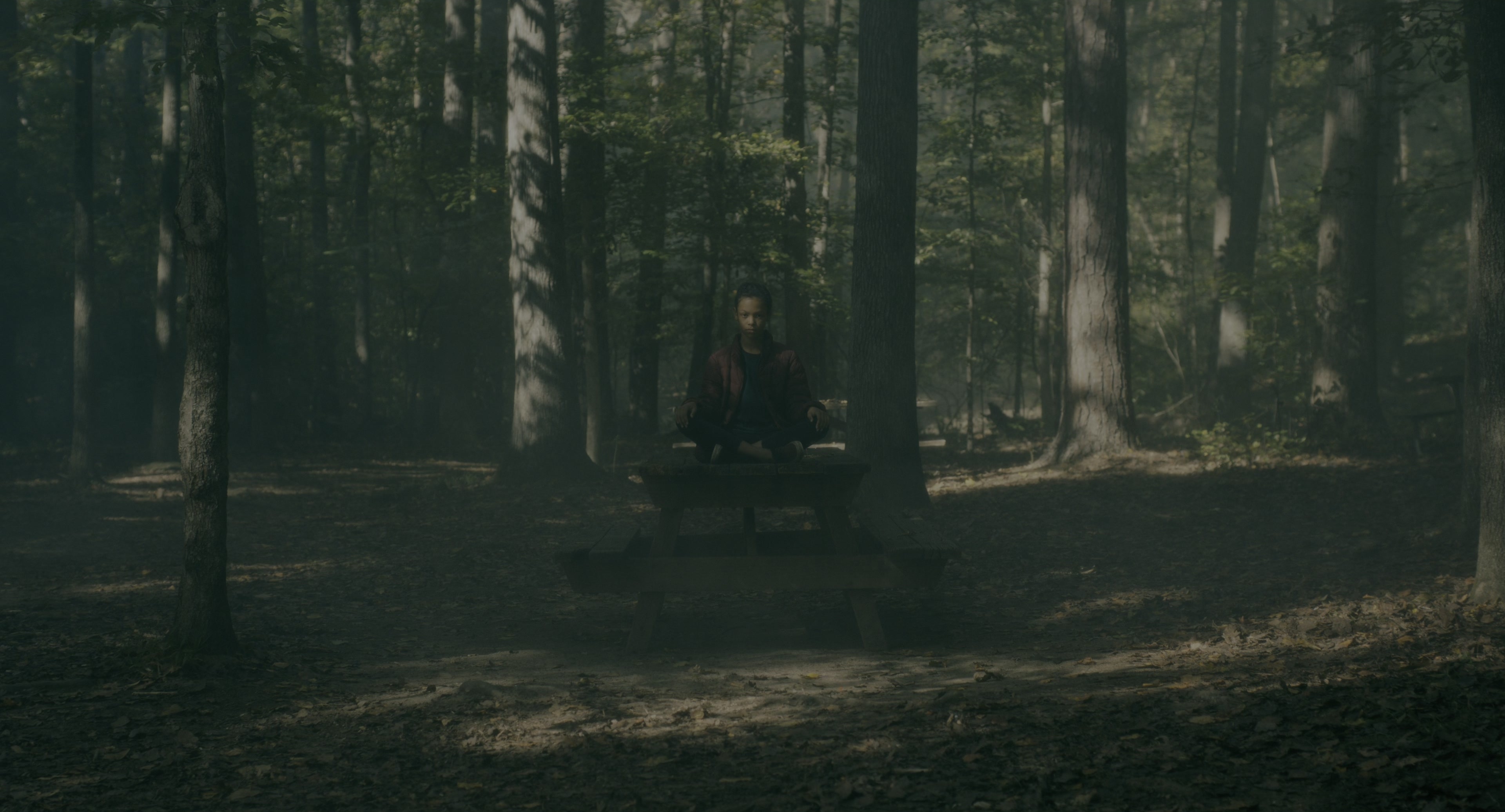 Doctor Sleep (2019), wide, 1.85:1 — film still