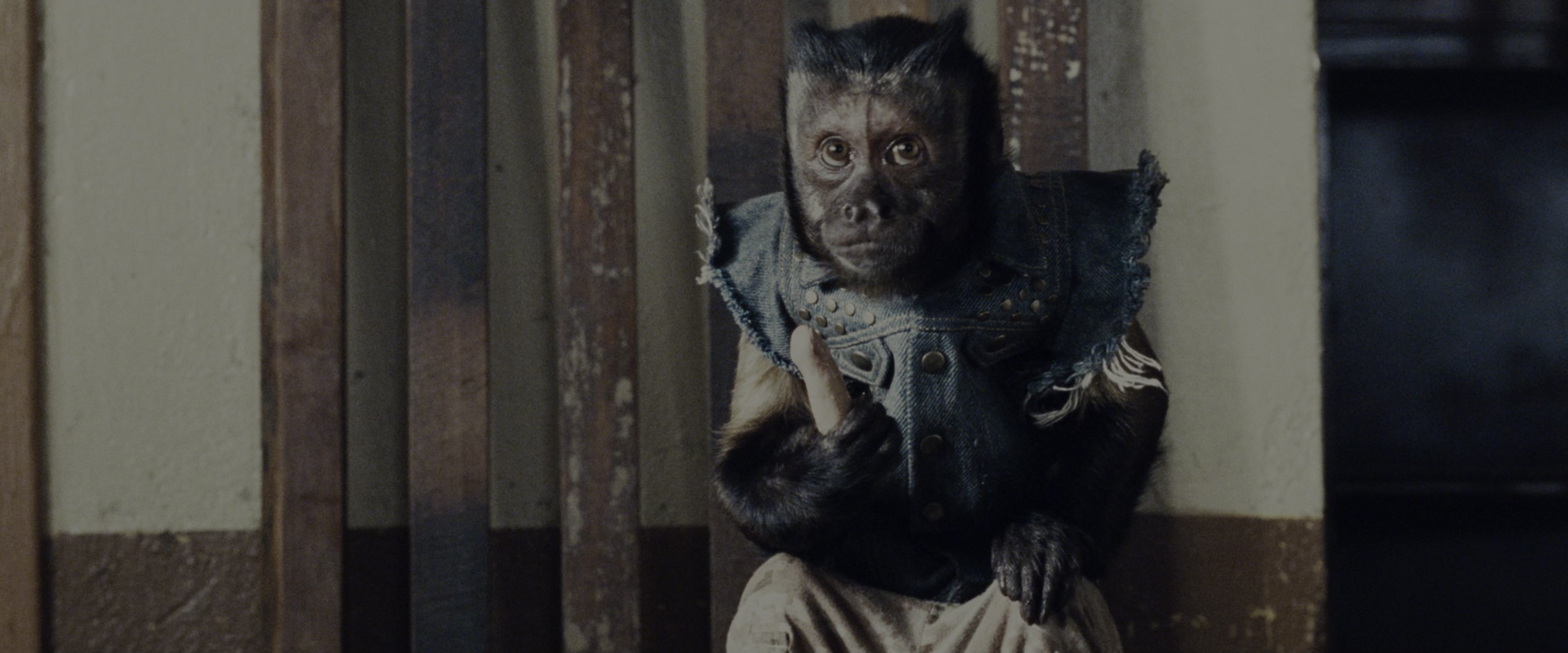 The Hangover Part II (2011), wide, 2.40:1 — film still
