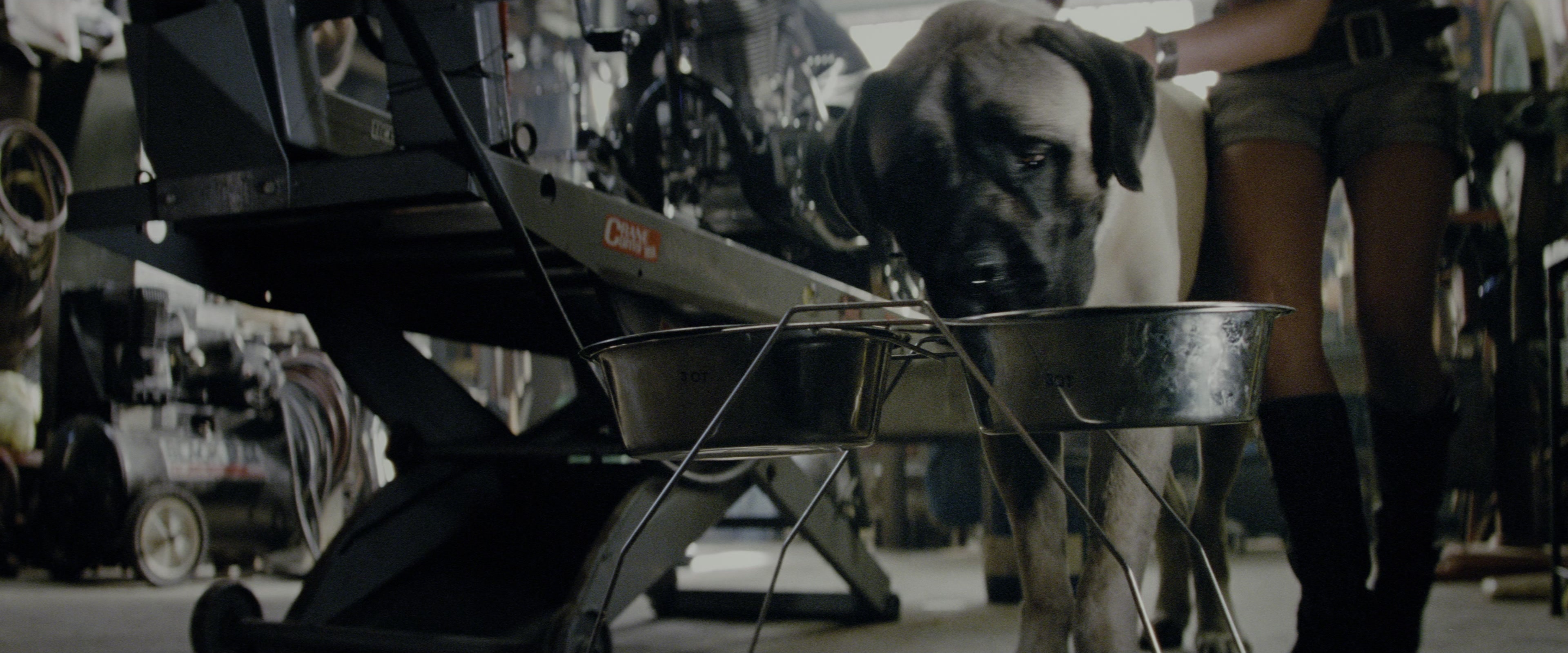 Transformers: Revenge of the Fallen (2009), wide, 2.40:1 — film still