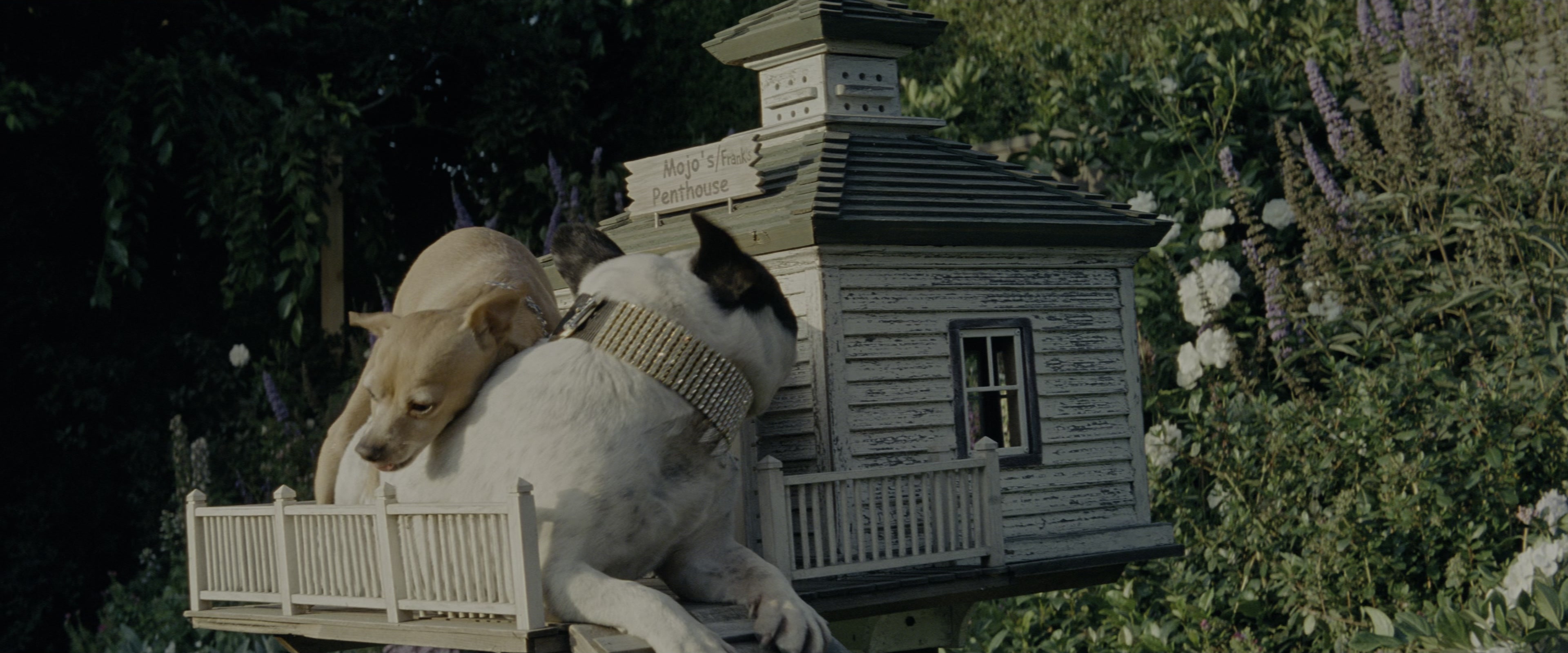 Transformers: Revenge of the Fallen (2009), wide, 2.40:1 — film still