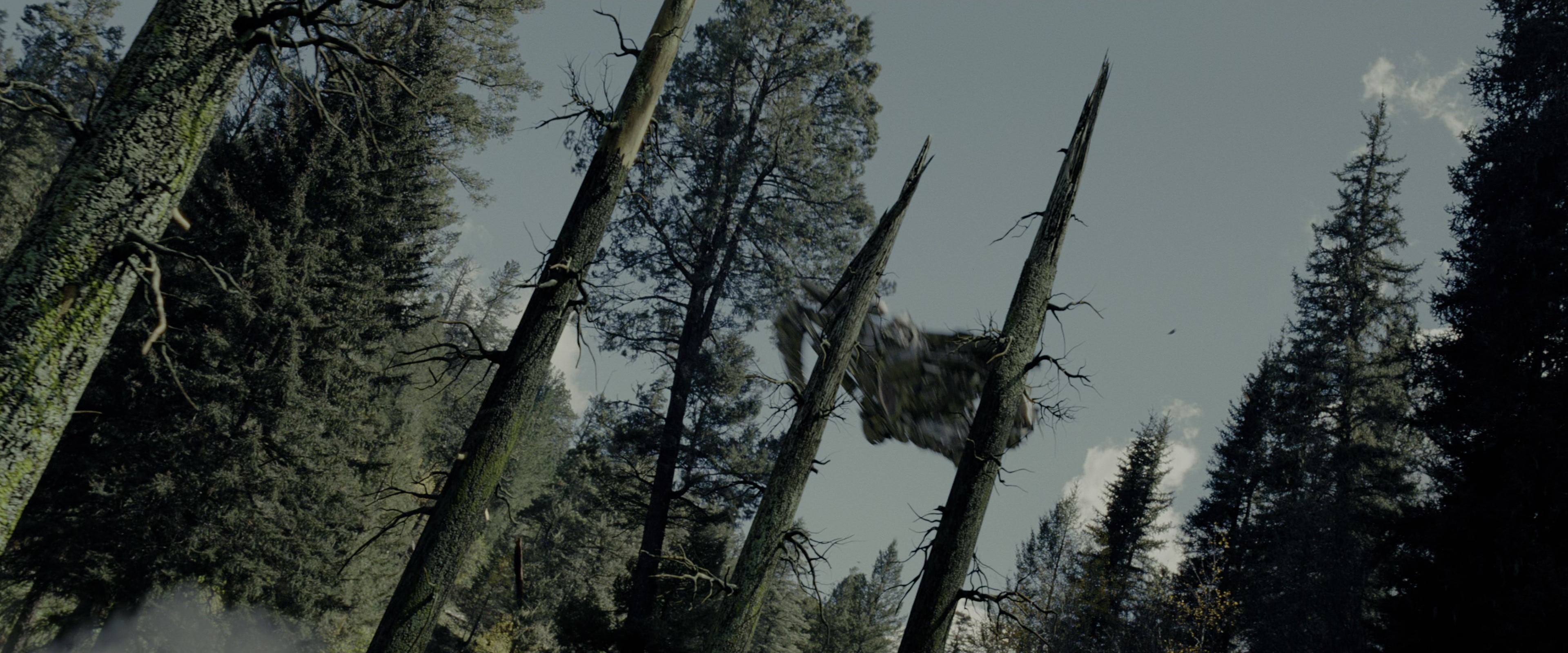 Transformers: Revenge of the Fallen (2009), wide, 2.40:1 — film still