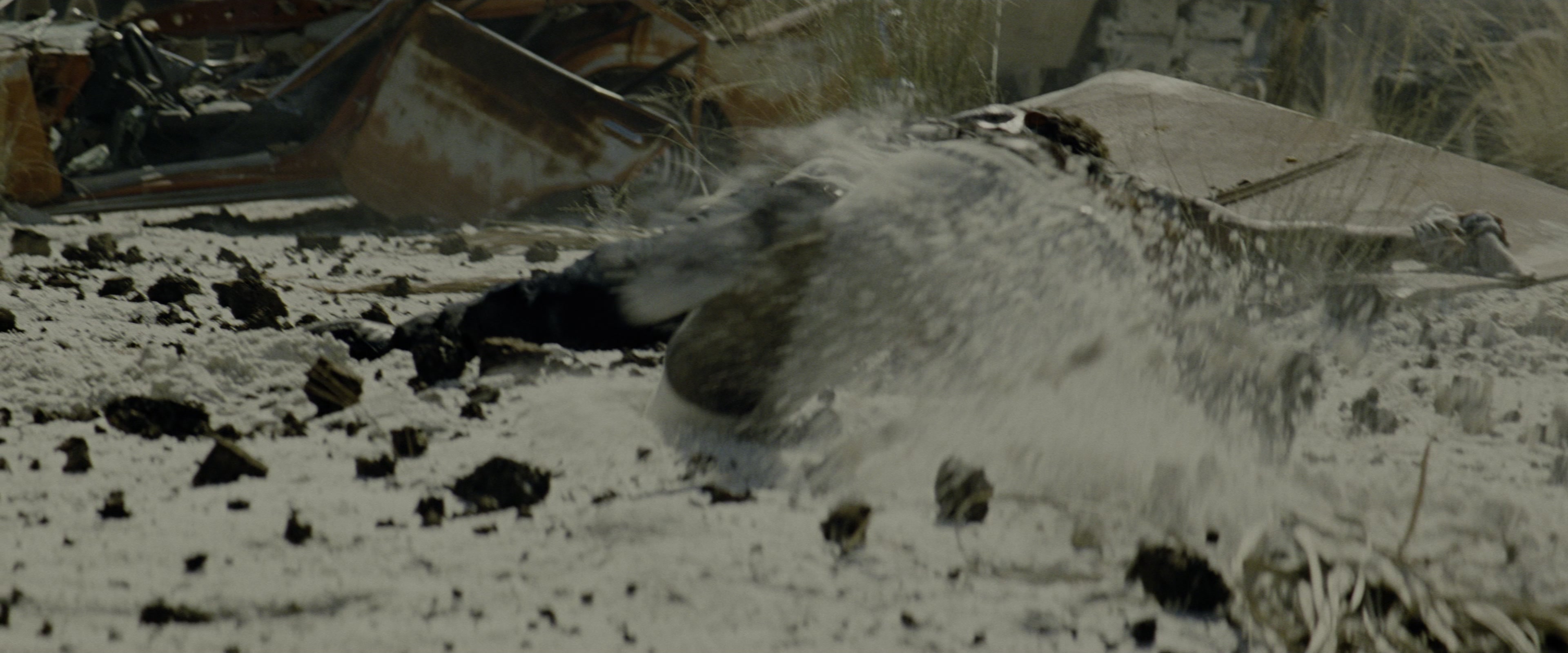 Transformers: Revenge of the Fallen (2009), wide, 2.40:1 — film still