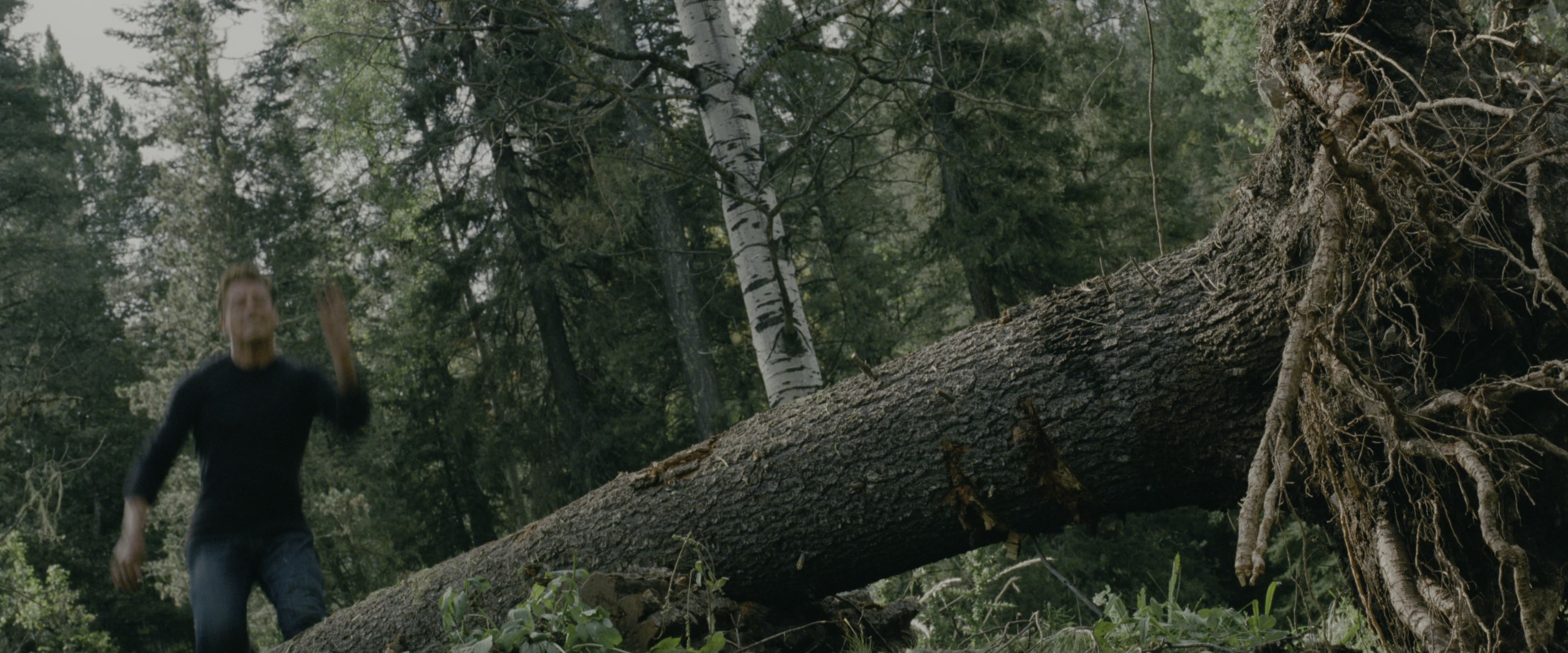 Transformers: Revenge of the Fallen (2009), wide, 2.40:1 — film still