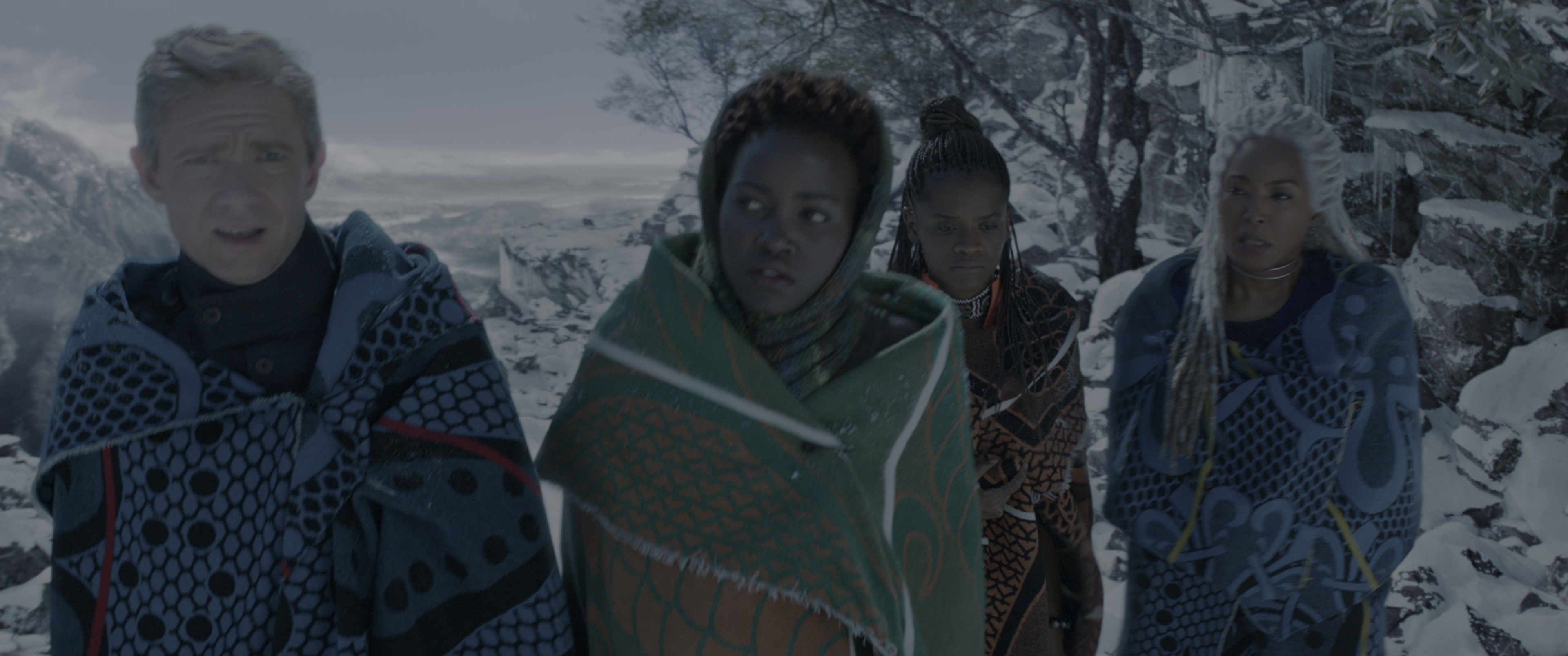 Black Panther (2018), wide, 2.39:1 — film still