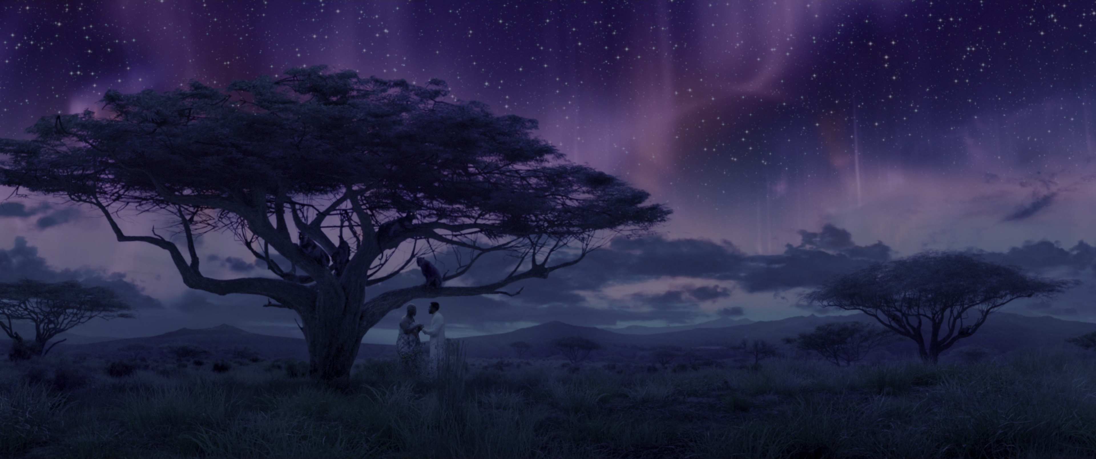 Black Panther (2018), wide, 2.39:1 — film still