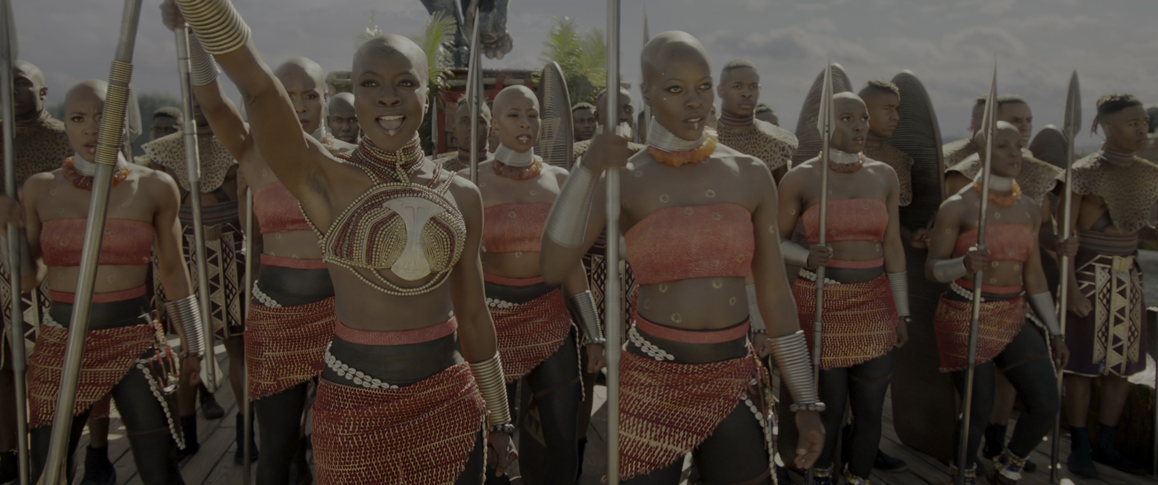 Black Panther (2018), wide, 2.39:1 — film still