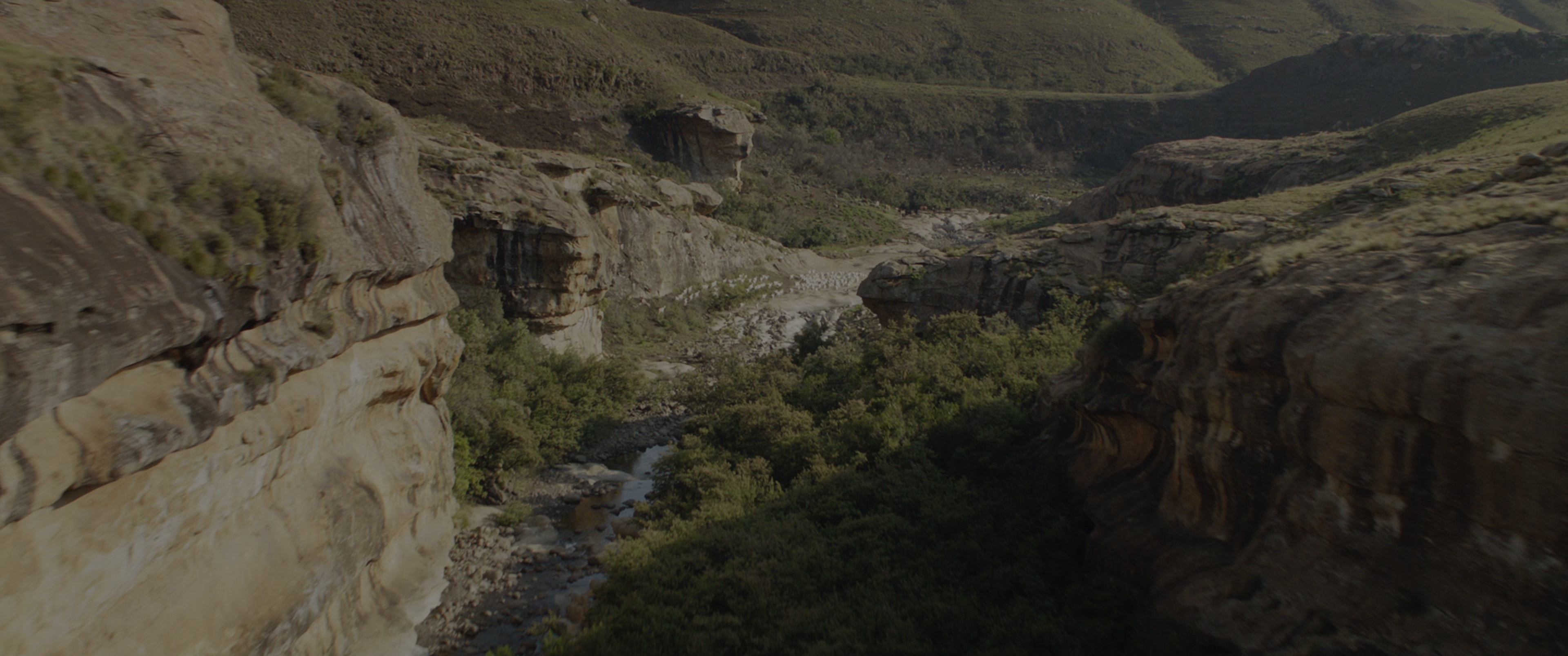 Black Panther (2018), wide, 2.39:1 — film still