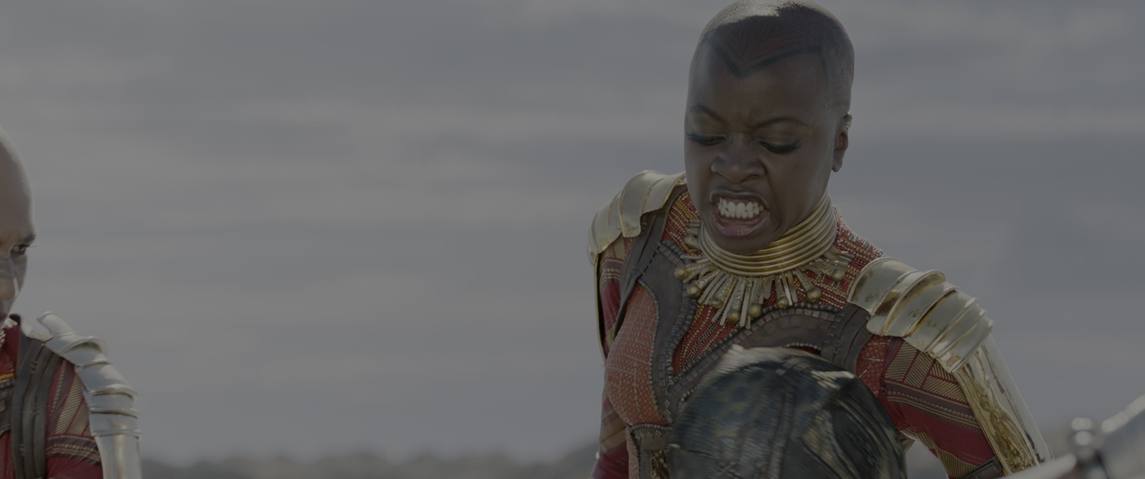 Black Panther (2018), wide, 2.39:1 — film still