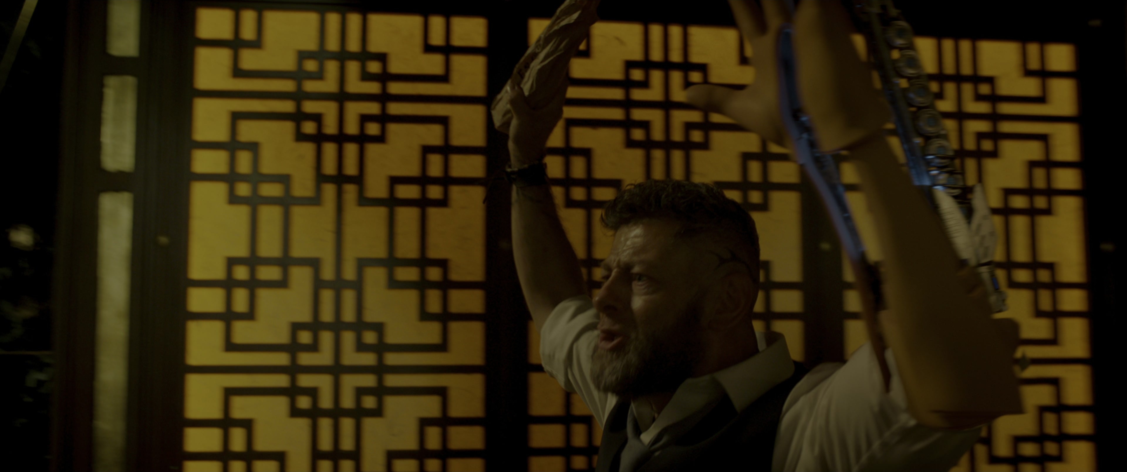 Black Panther (2018), wide, 2.39:1 — film still